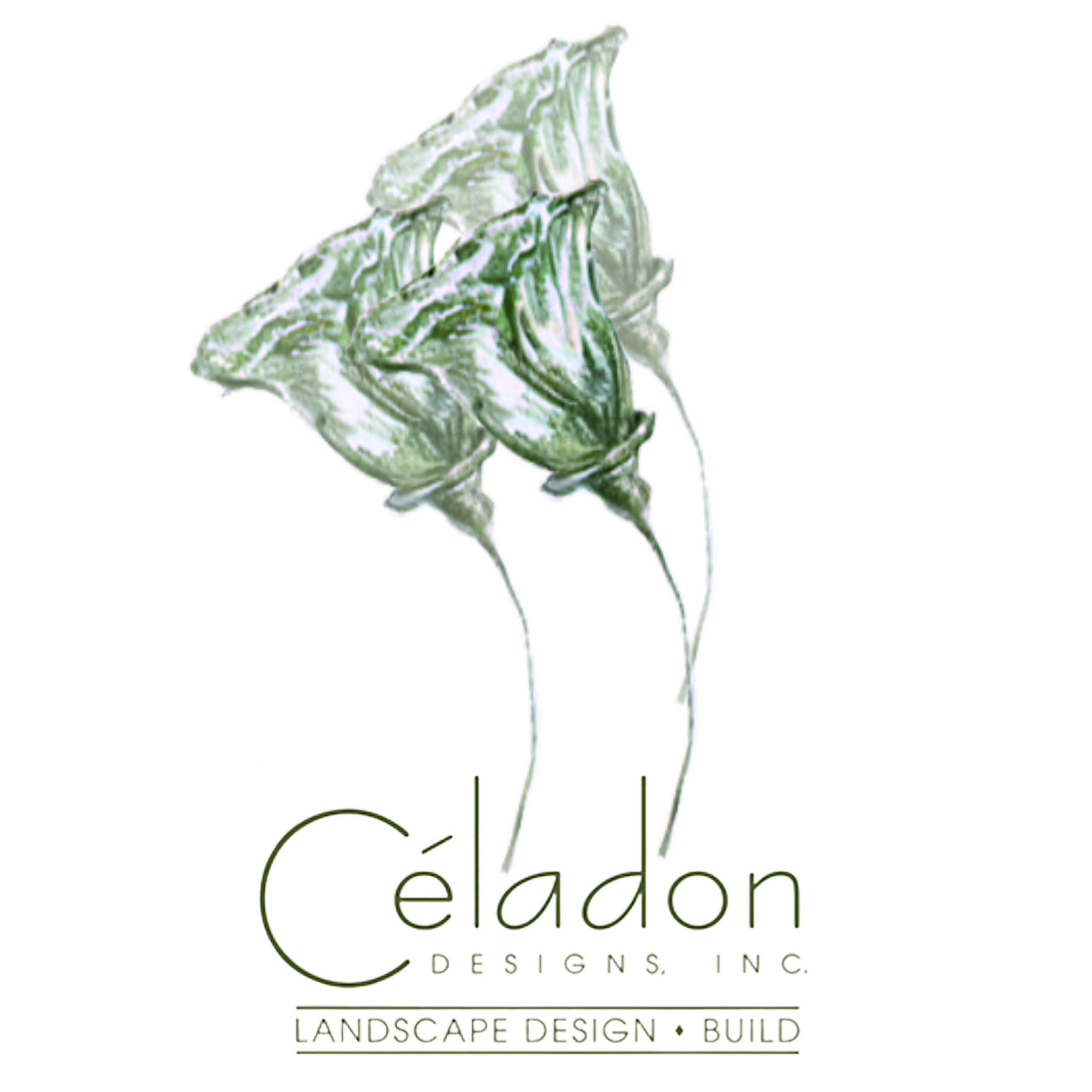Celadon Designs